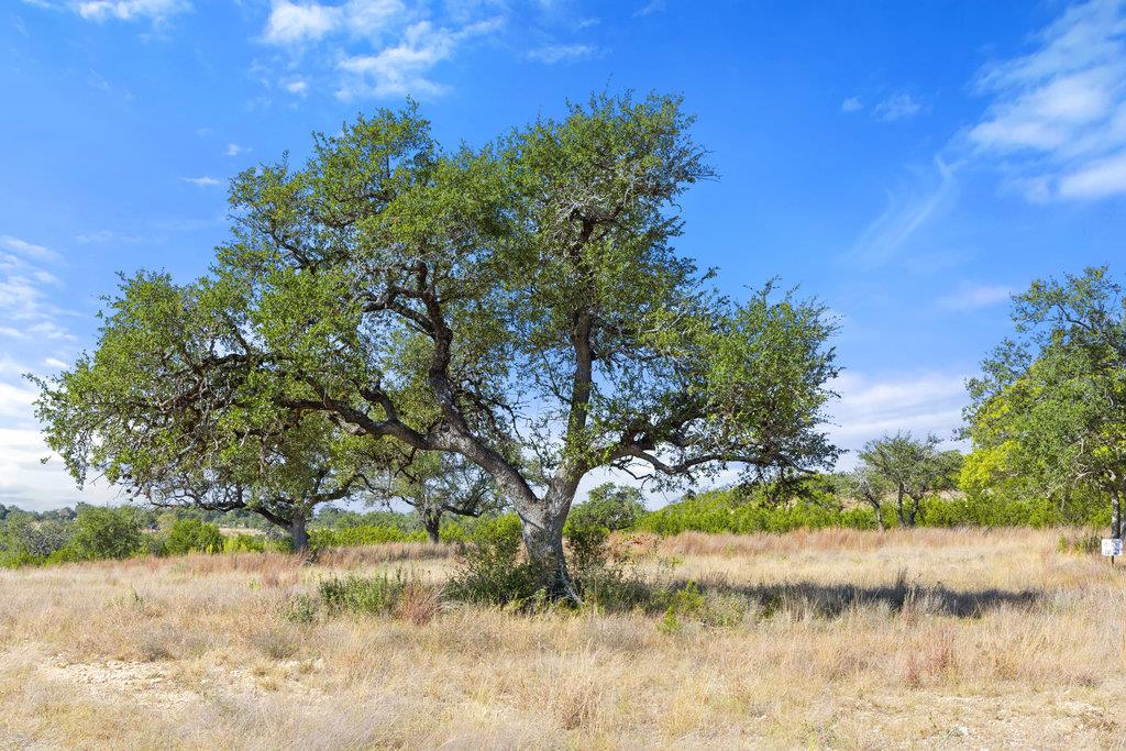 Image 26 of 39 For 2058 Legacy Hills Dr