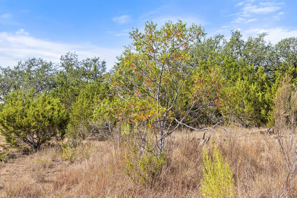 Image 33 of 39 For 2058 Legacy Hills Dr