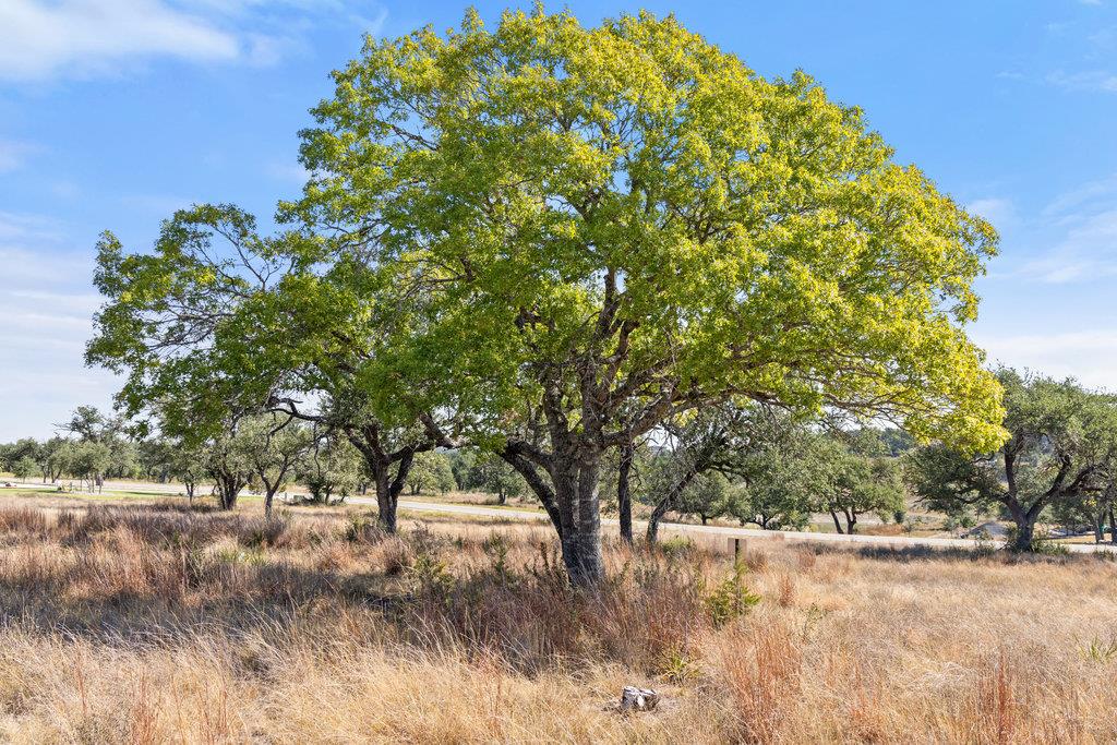 Image 38 of 39 For 2058 Legacy Hills Dr