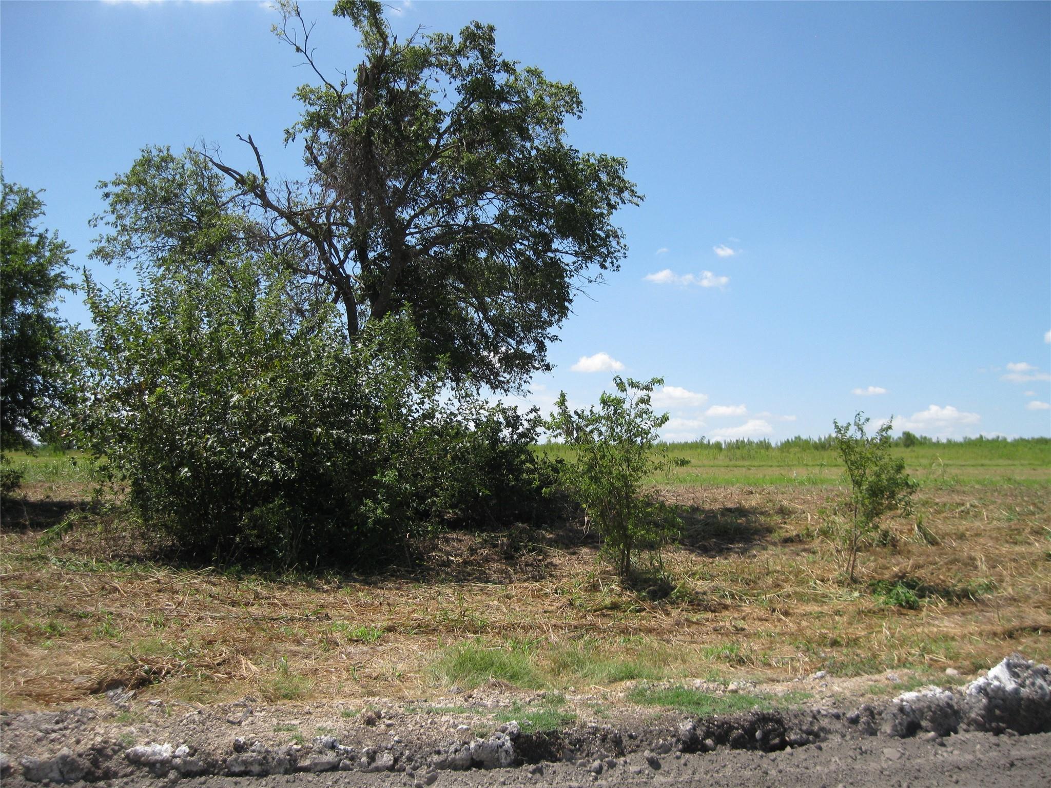 Image 5 of 7 For 00 County Road 133 Rd