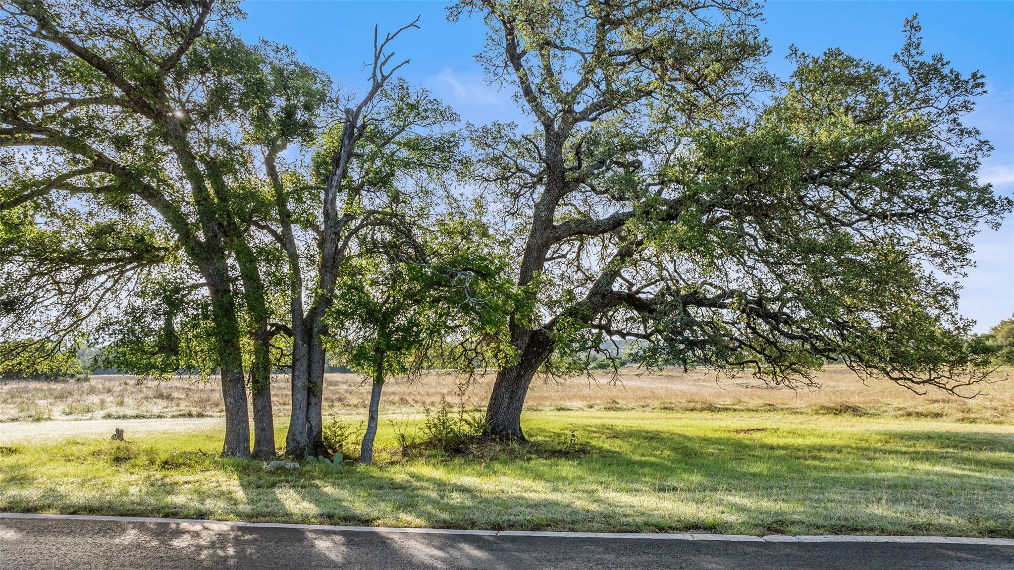 Details for Lot 4 Vista Ridge Dr, Round Mountain, TX 78663