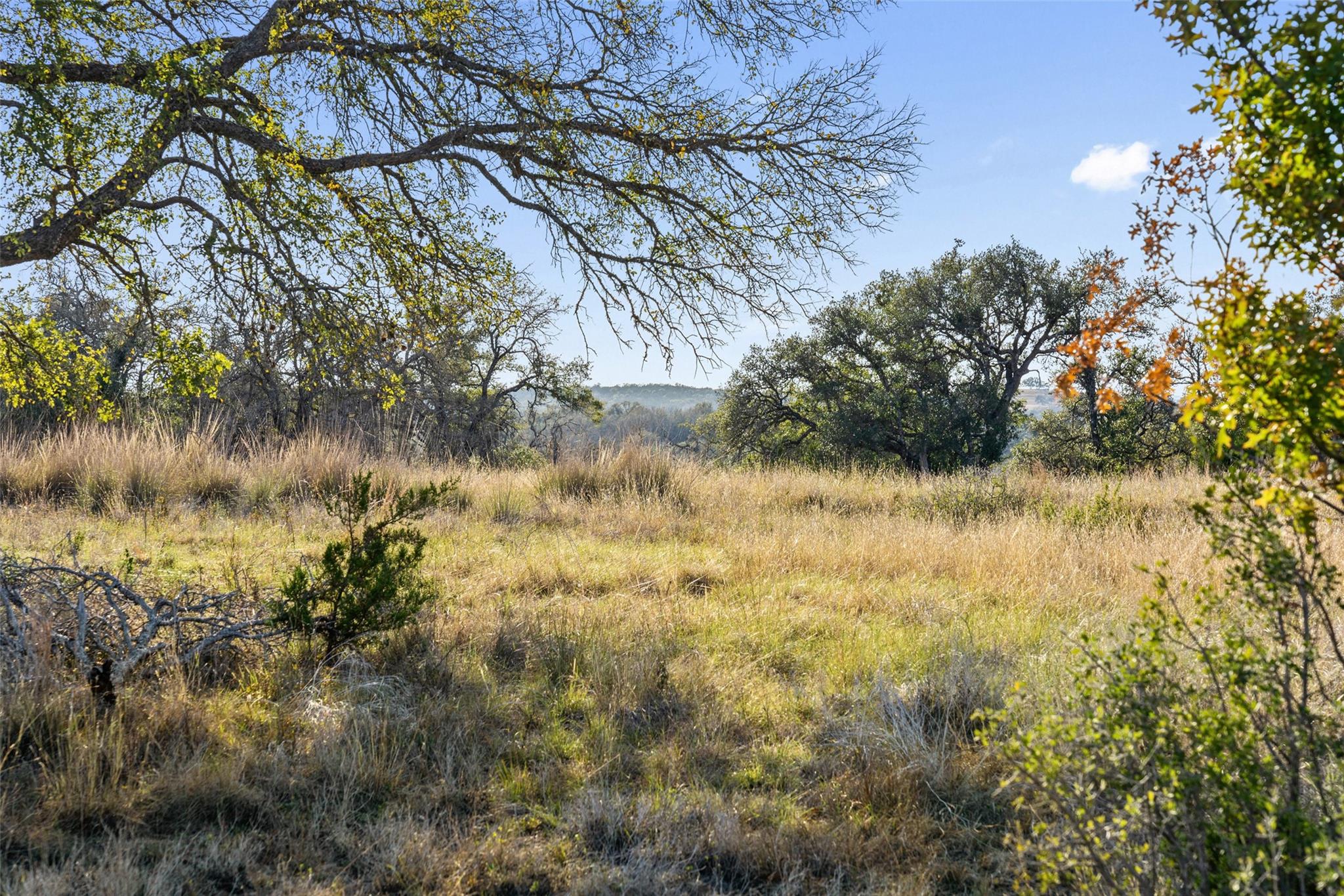Details for Lot 91 Axis Cir, Fredericksburg, TX 78624