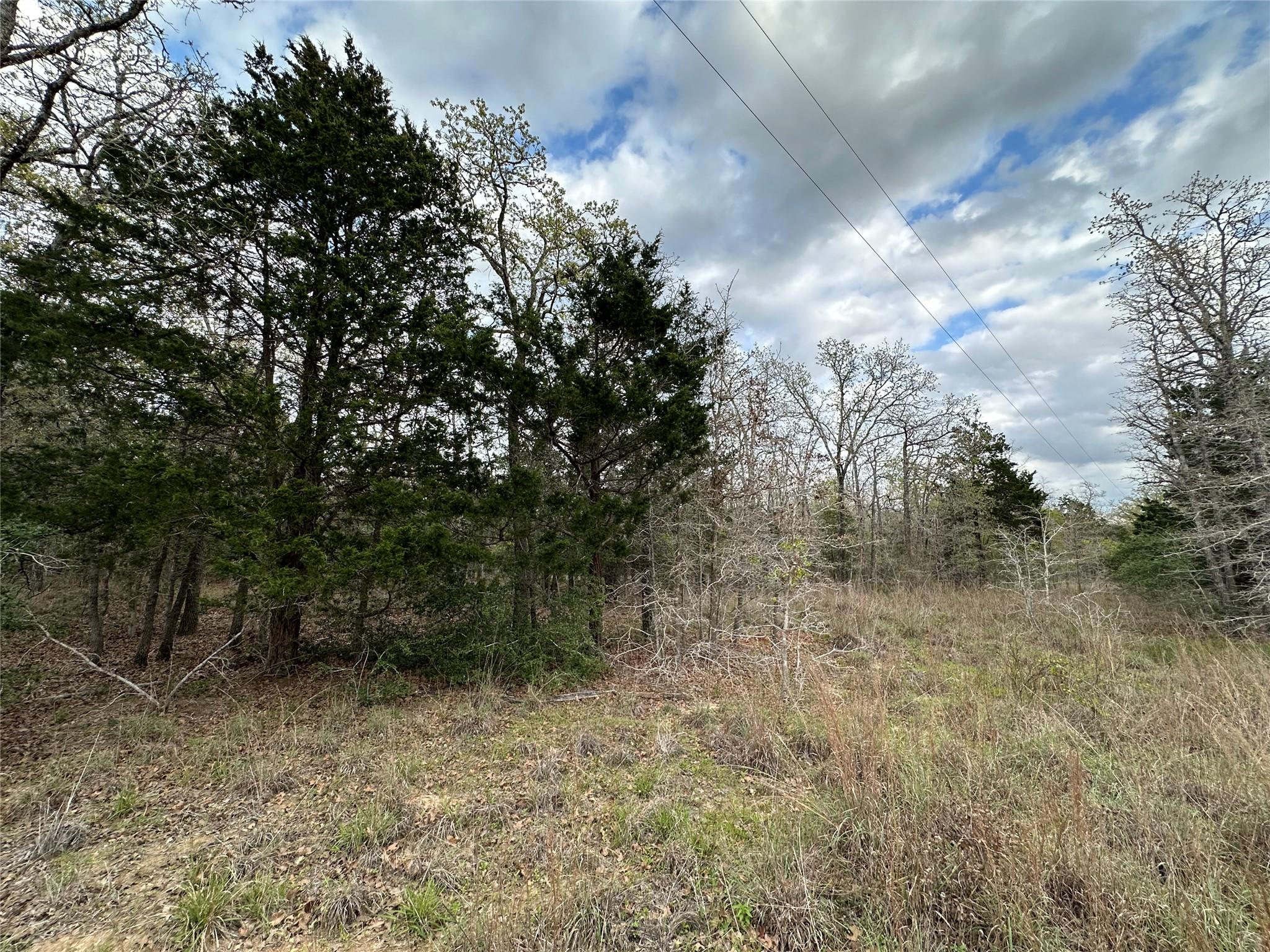 Details for 547 S. Old Potato Dr, Paige, TX 78602
