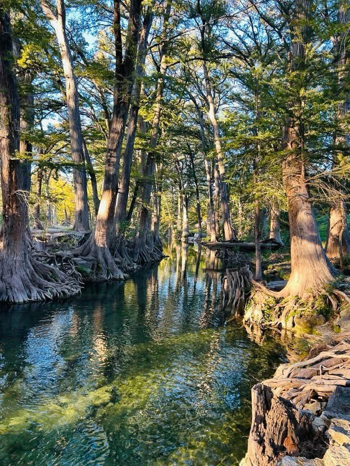 Image 24 of 25 For 5322 State Hwy 16 N