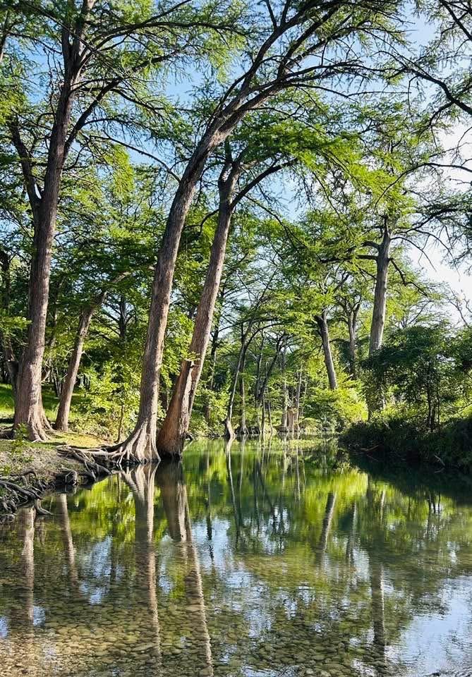 Image 25 of 25 For 5322 State Hwy 16 N