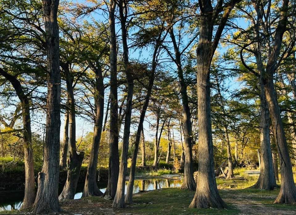 Image 7 of 25 For 5322 State Hwy 16 N