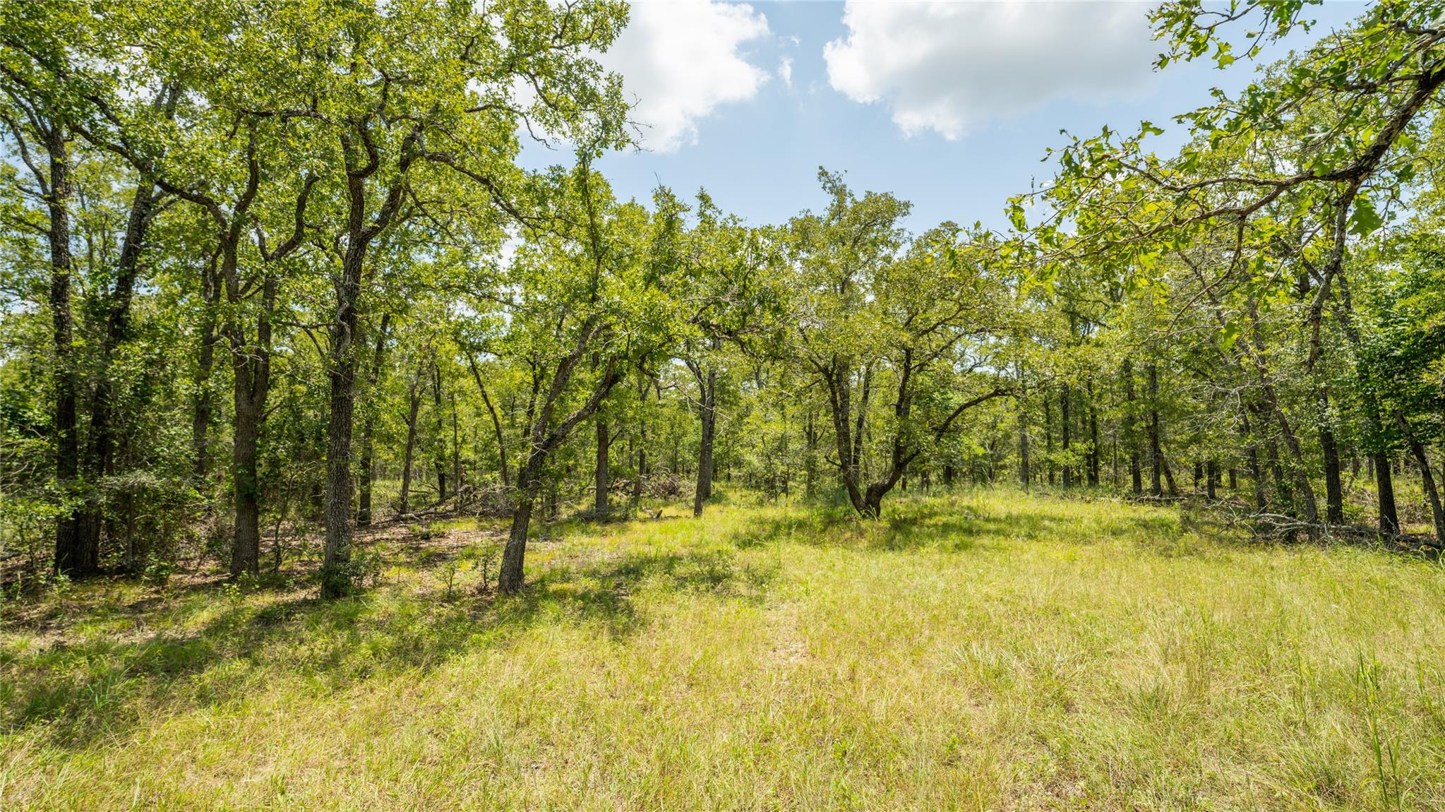 Details for 418-g County Road 405, Buckholts, TX 76518