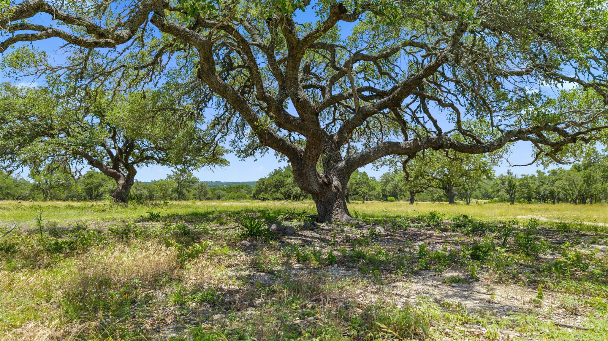 Image 3 of 12 For 936 Lot 2 Lindeman Ln