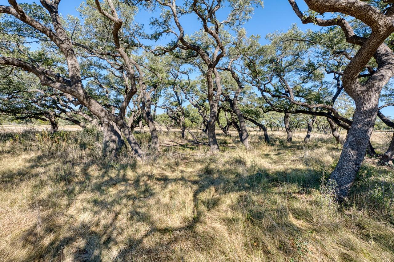 Image 14 of 29 For Lot 2 Legacy Hills Dr