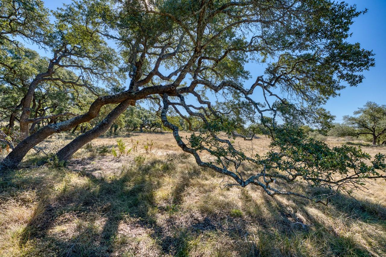 Image 20 of 29 For Lot 2 Legacy Hills Dr