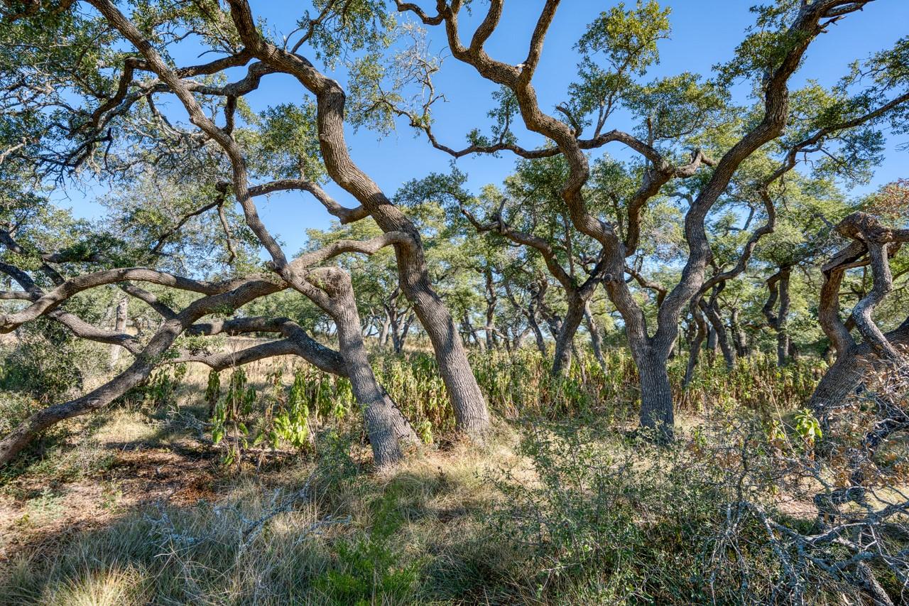 Image 21 of 29 For Lot 2 Legacy Hills Dr