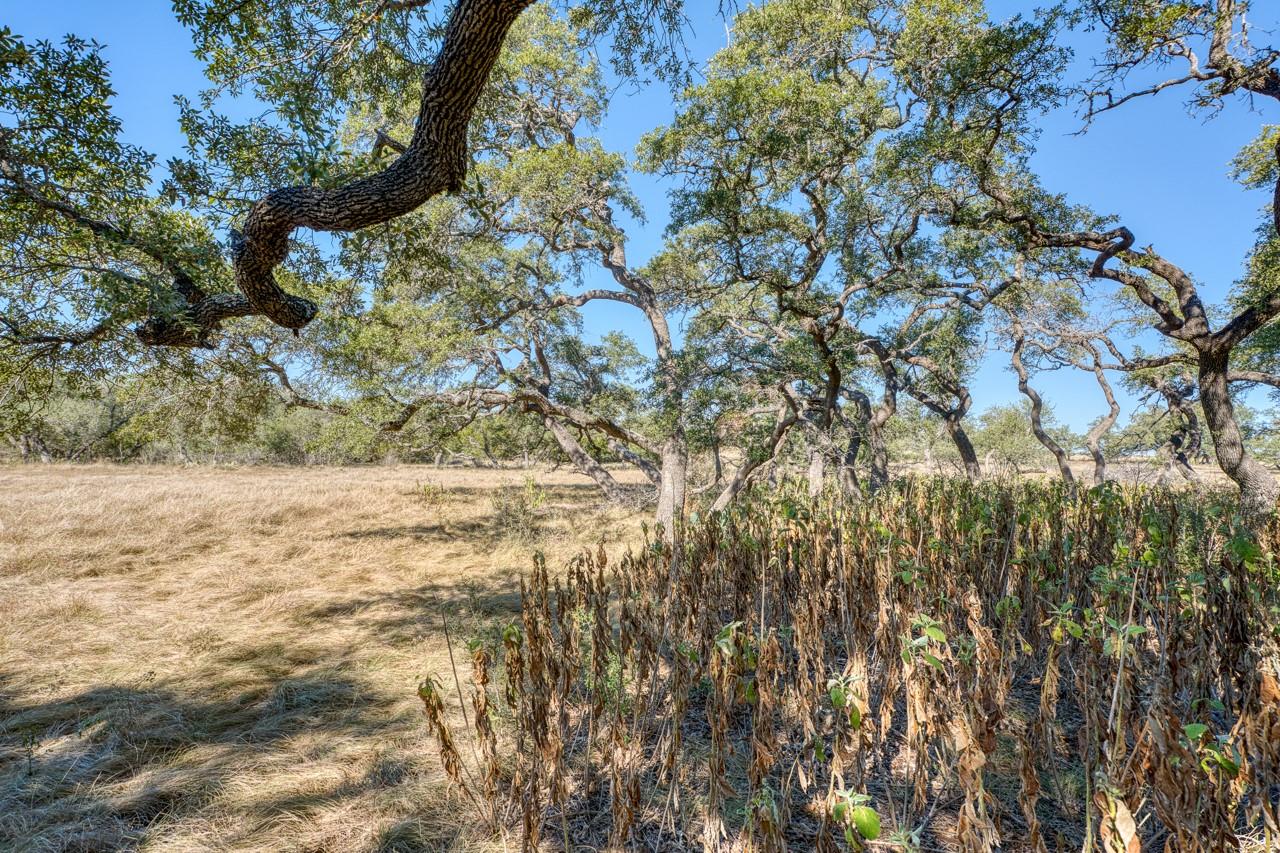 Image 23 of 29 For Lot 2 Legacy Hills Dr