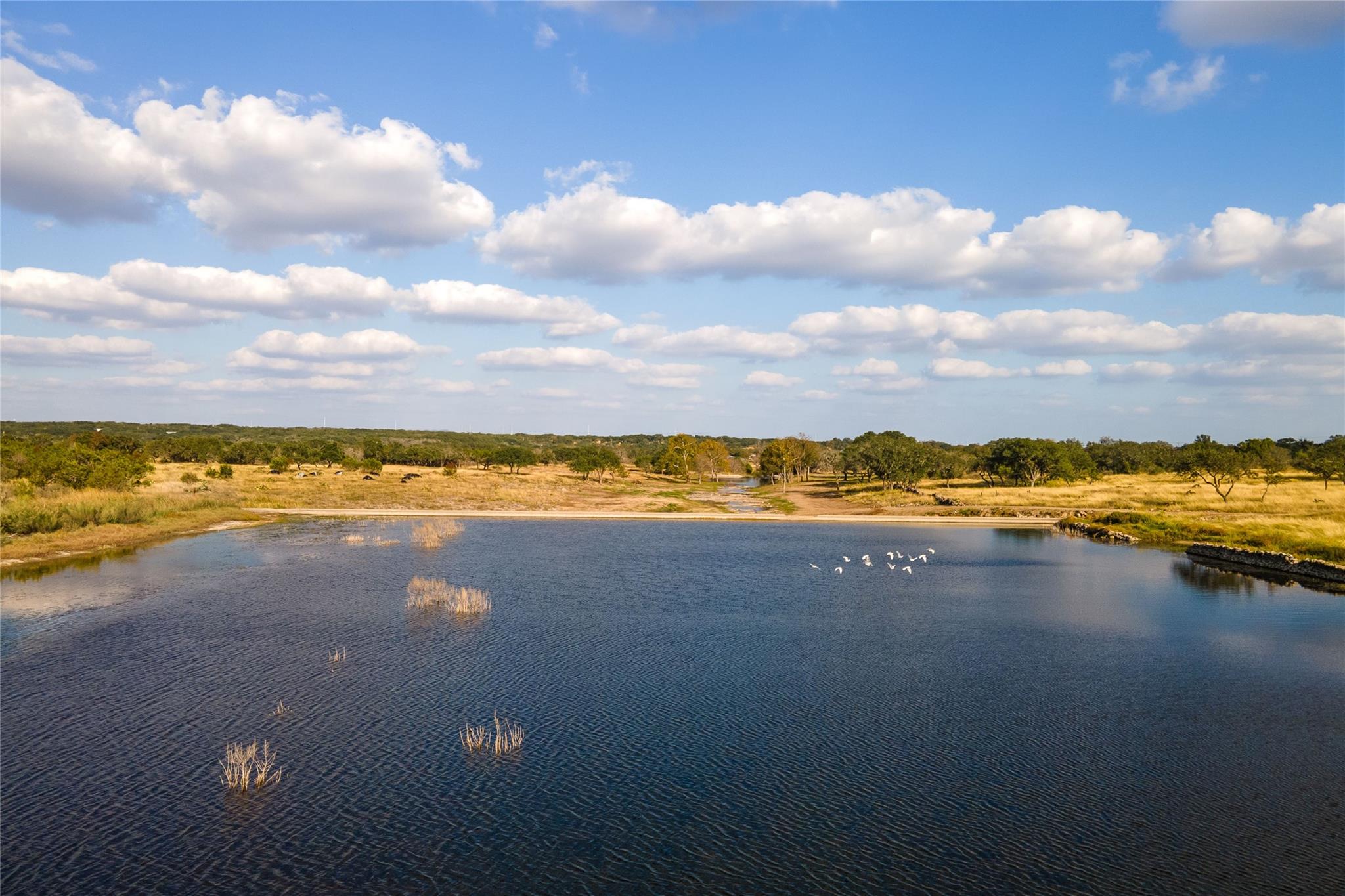 Image 30 of 39 For 164 Lake On Flat Creek Dr