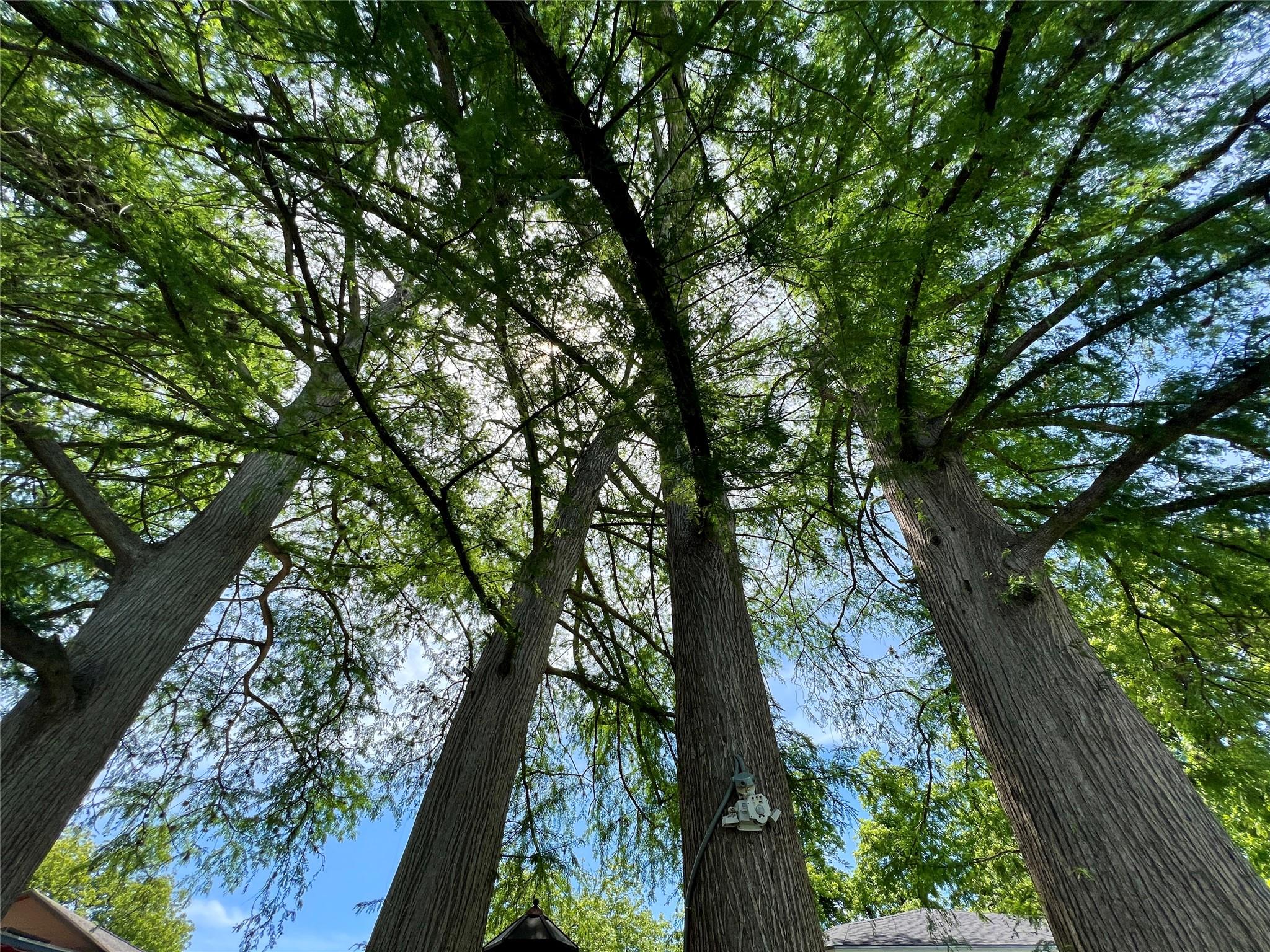 Image 35 of 40 For 1317 Zipp Rd