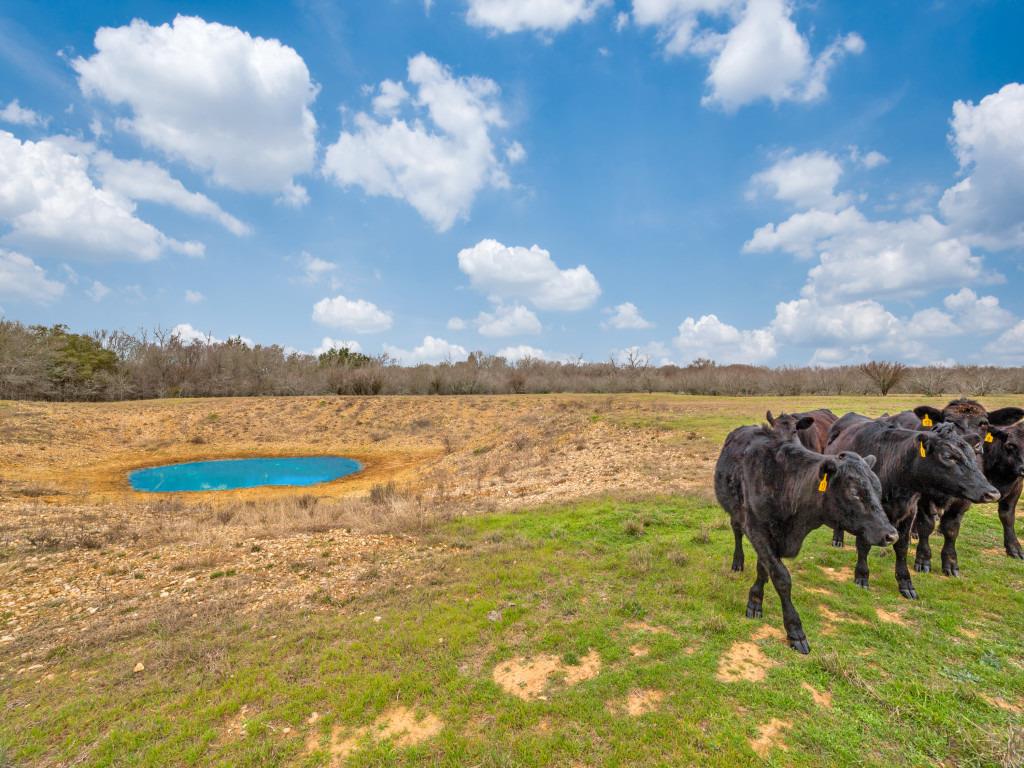 Image 7 of 15 For 1000 Mill Creek Rd Rd