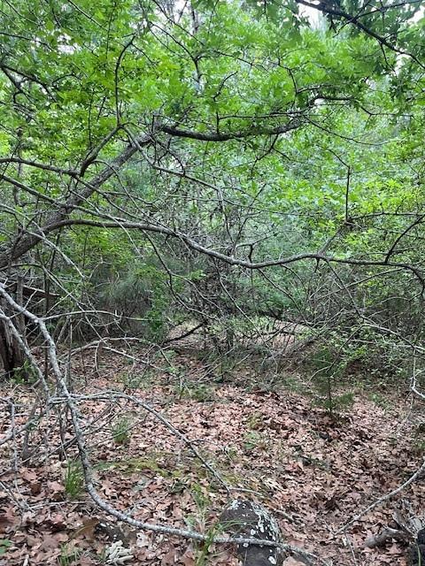Details for Lot 1603 Ulupau Cir, Bastrop, TX 78602