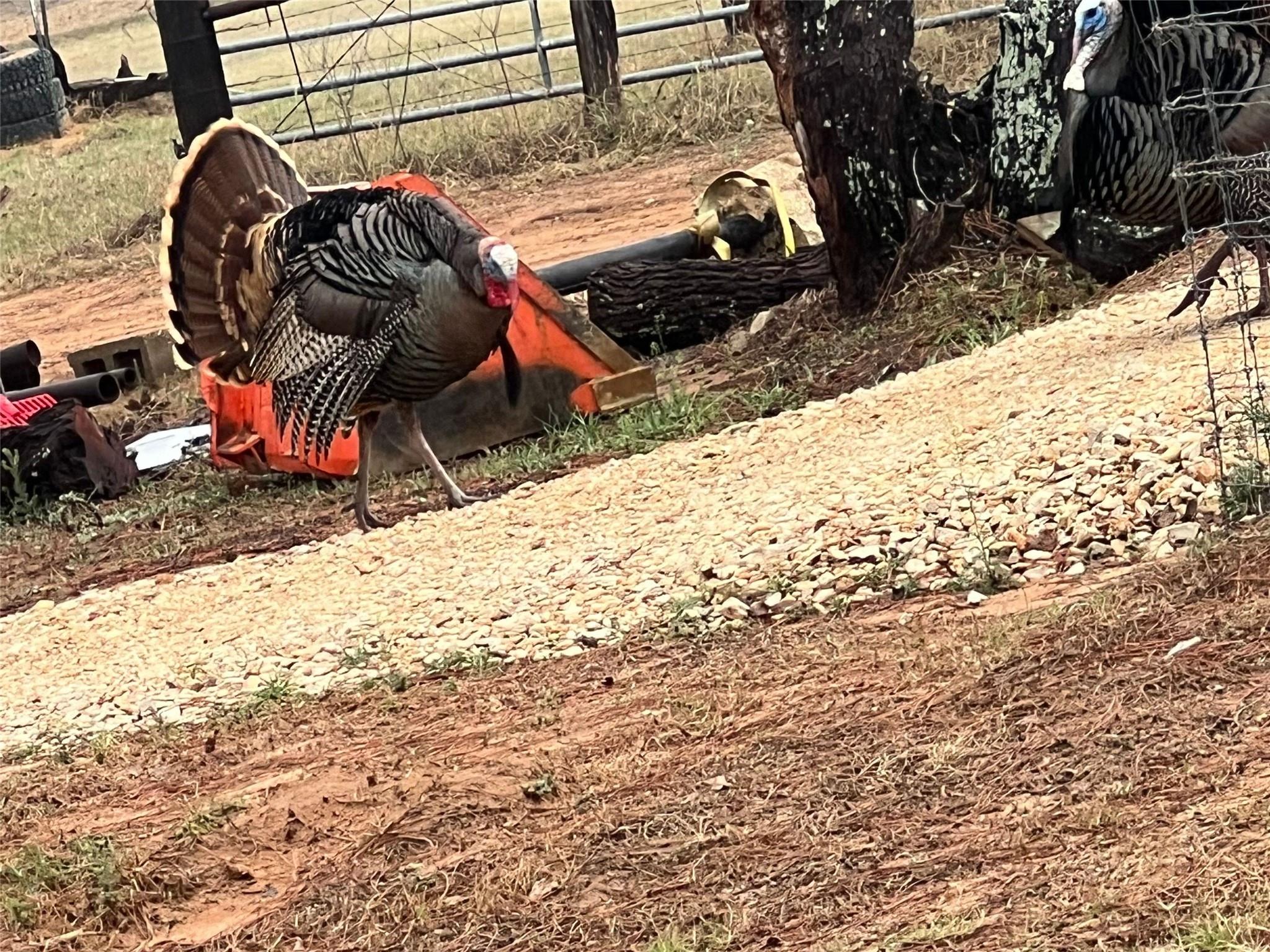 Image 10 of 12 For 1384 County Road 326