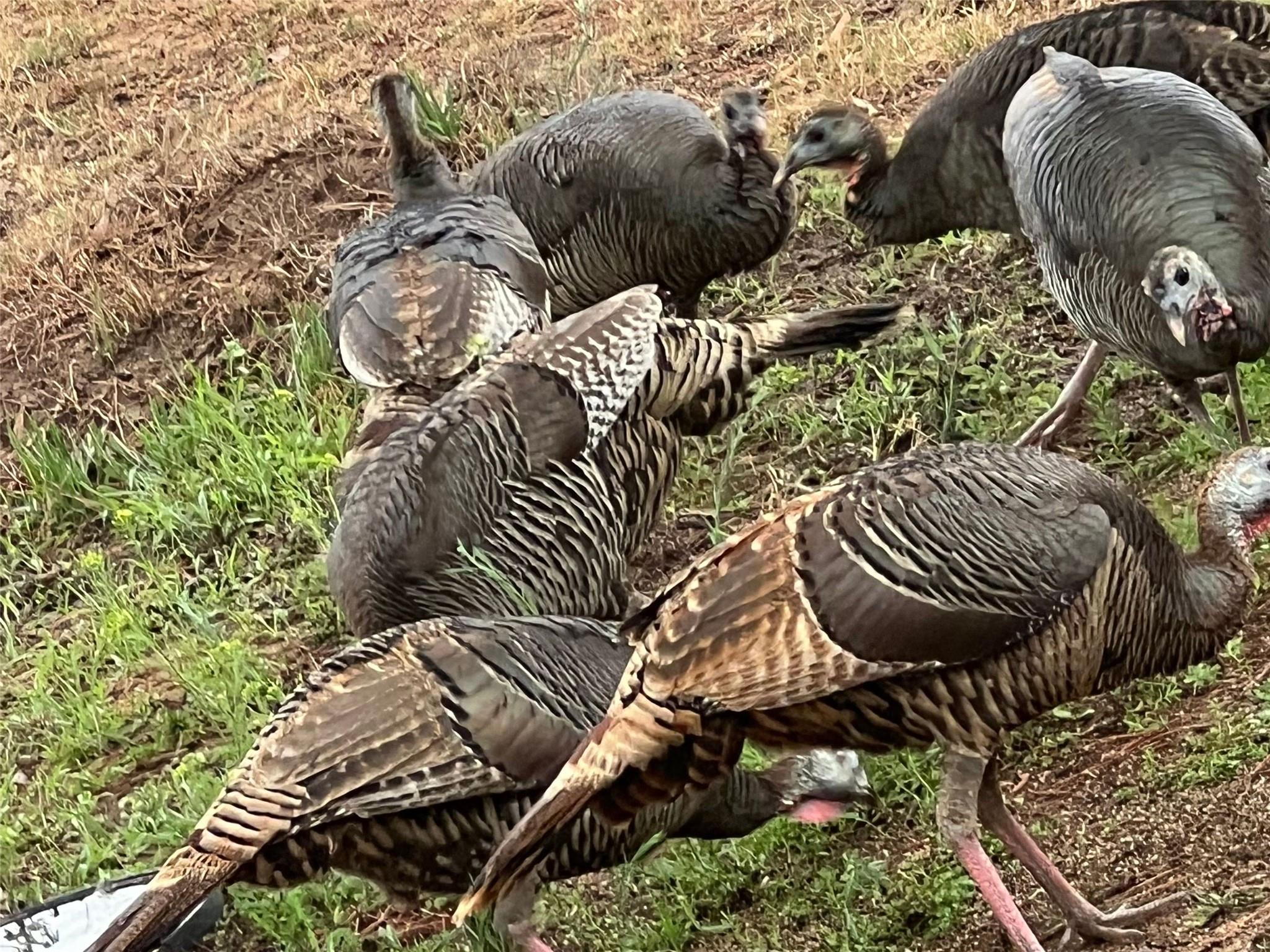 Image 11 of 12 For 1384 County Road 326