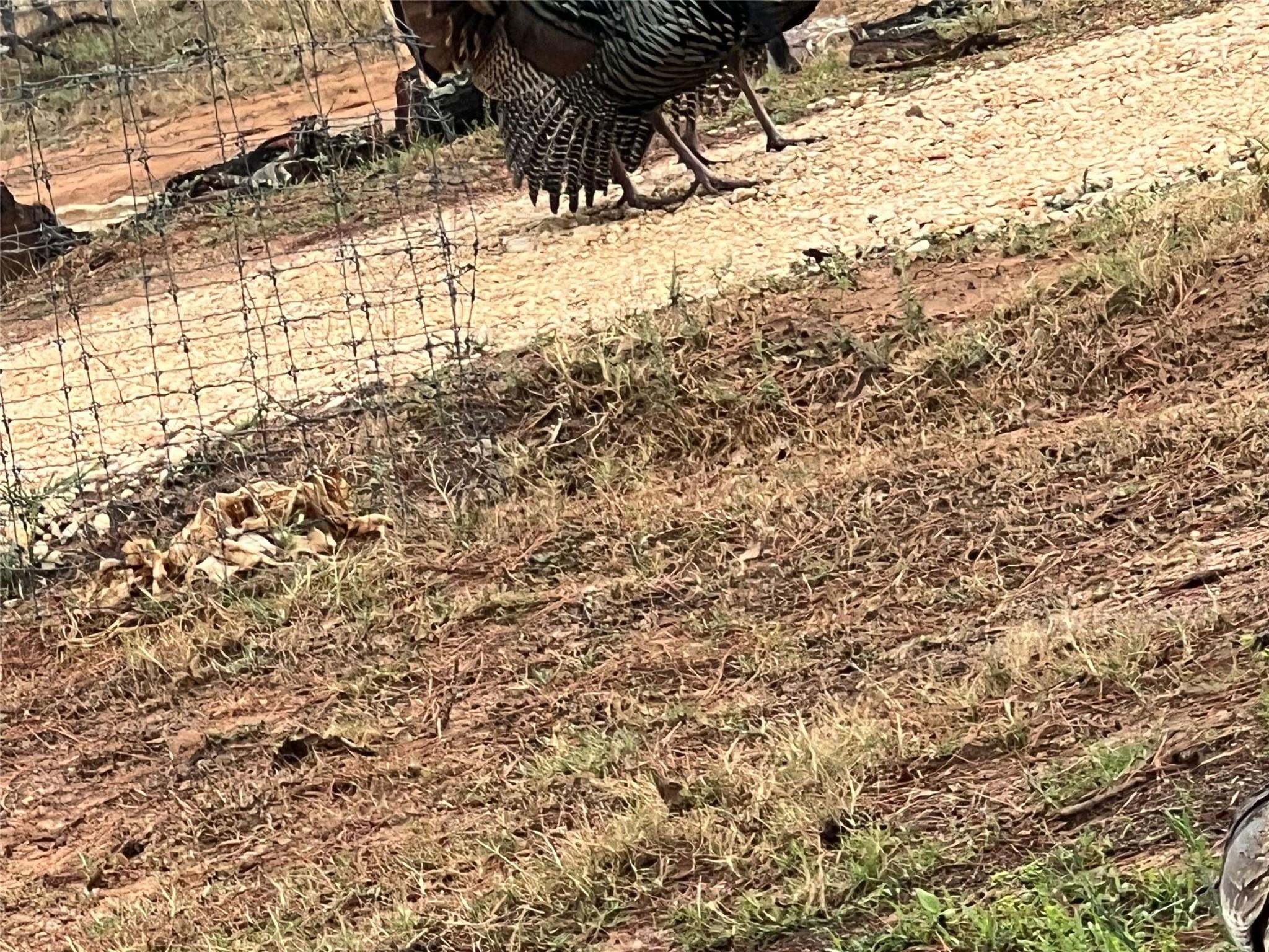 Image 12 of 12 For 1384 County Road 326