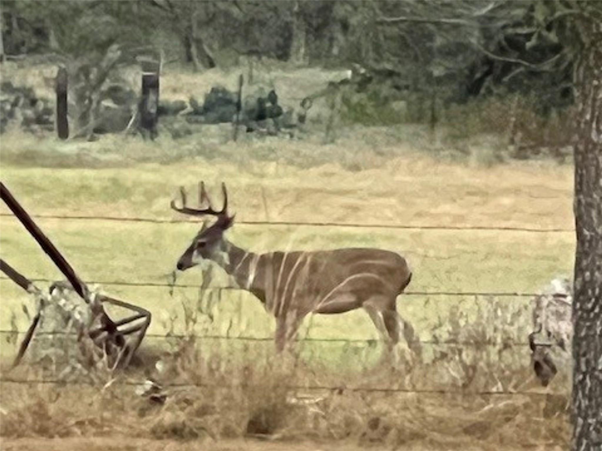 Image 4 of 12 For 1384 County Road 326