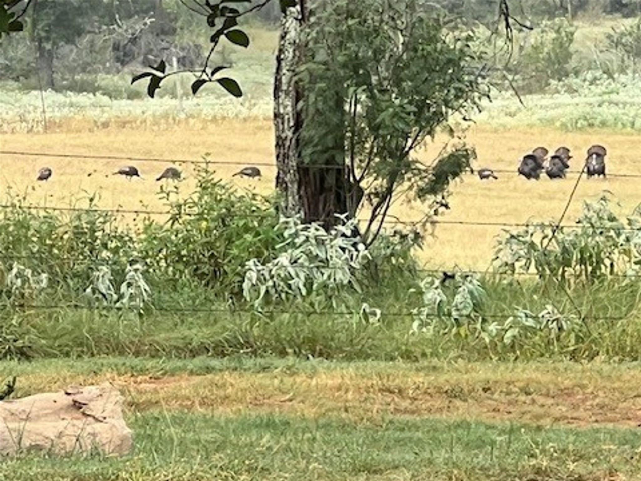 Image 9 of 12 For 1384 County Road 326