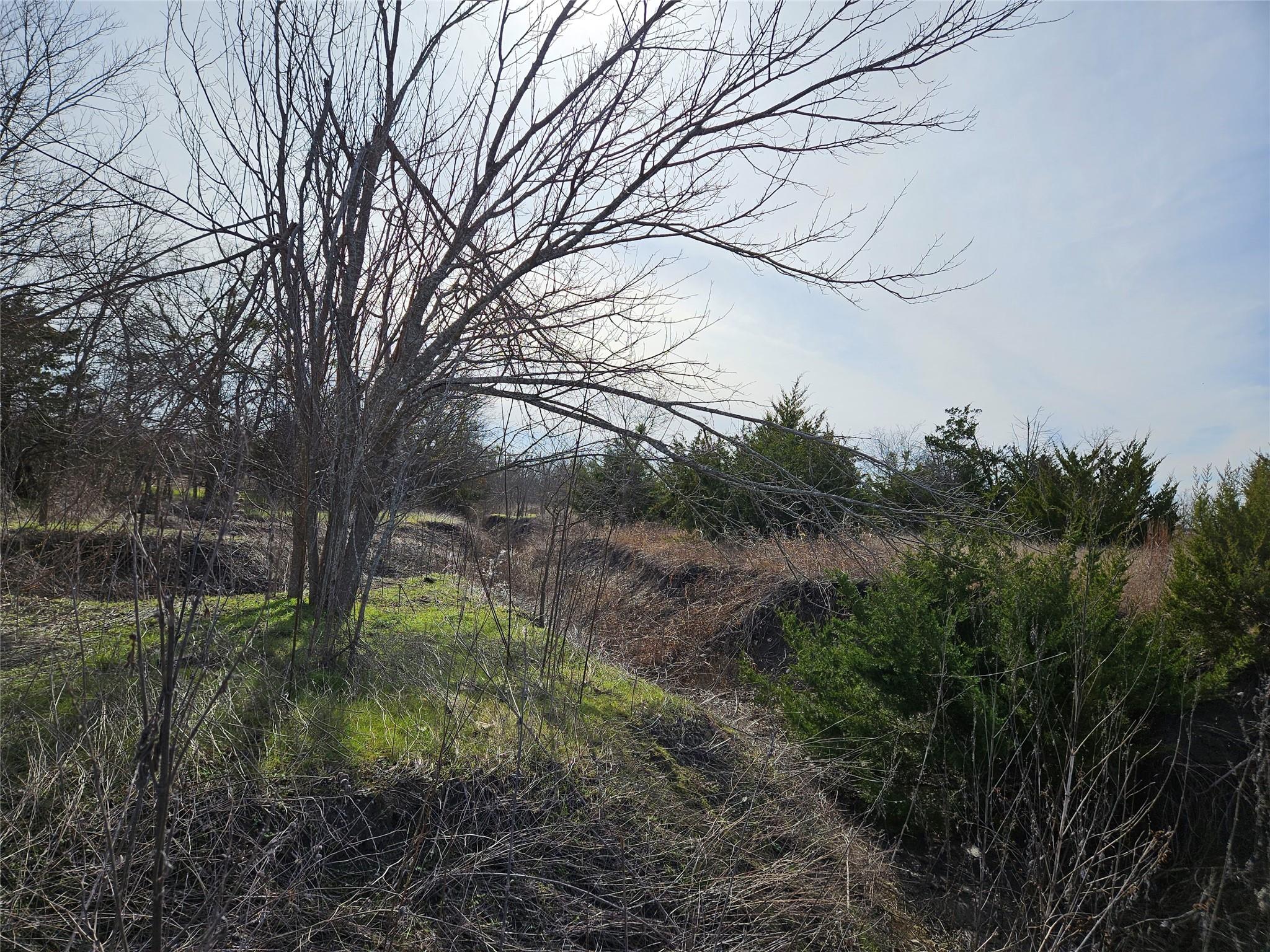 Image 10 of 14 For 17726 Fm 973 Rd