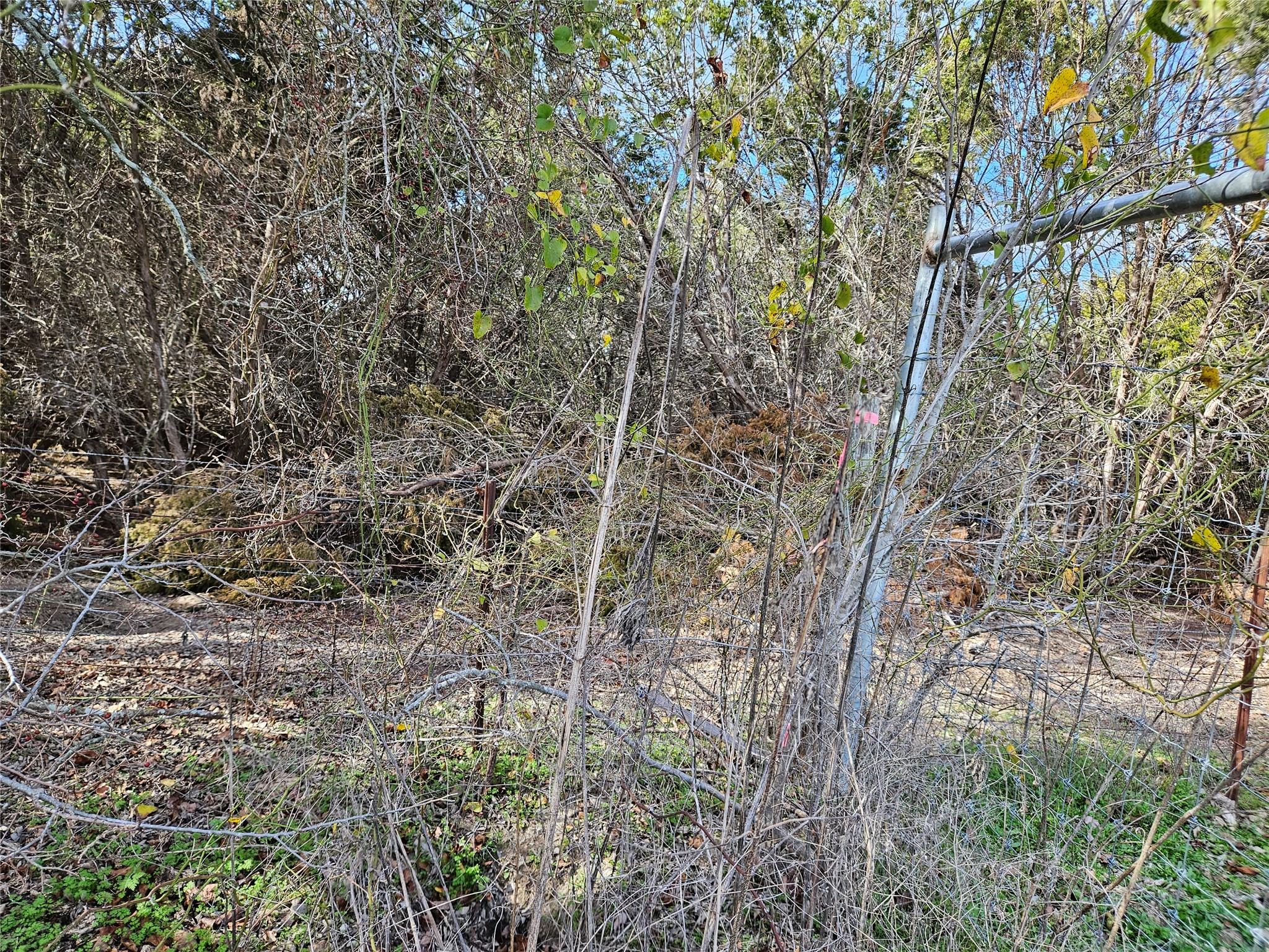 Image 12 of 14 For 17726 Fm 973 Rd