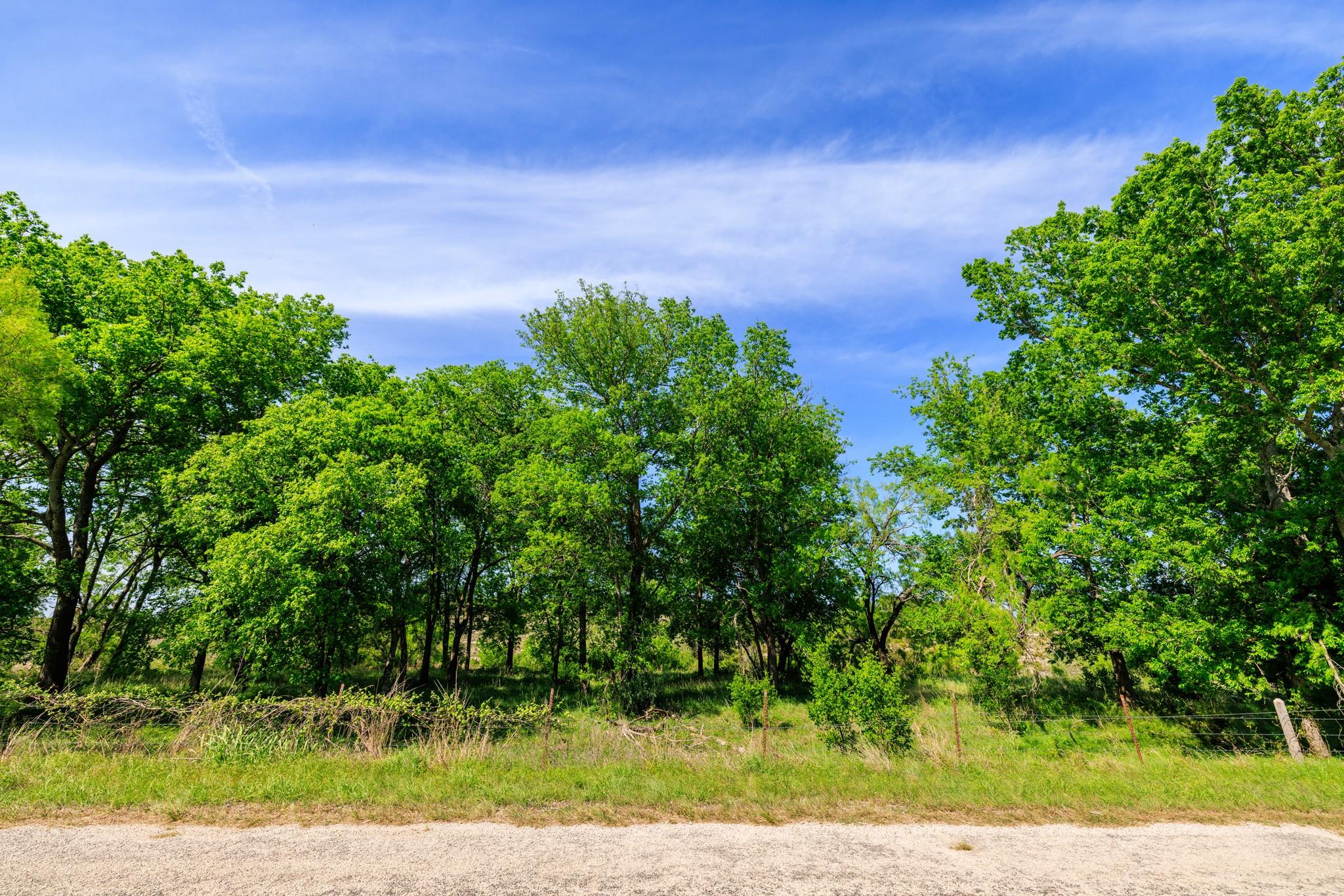 Image 12 of 40 For Lot 2 Byrd Ranch Rd