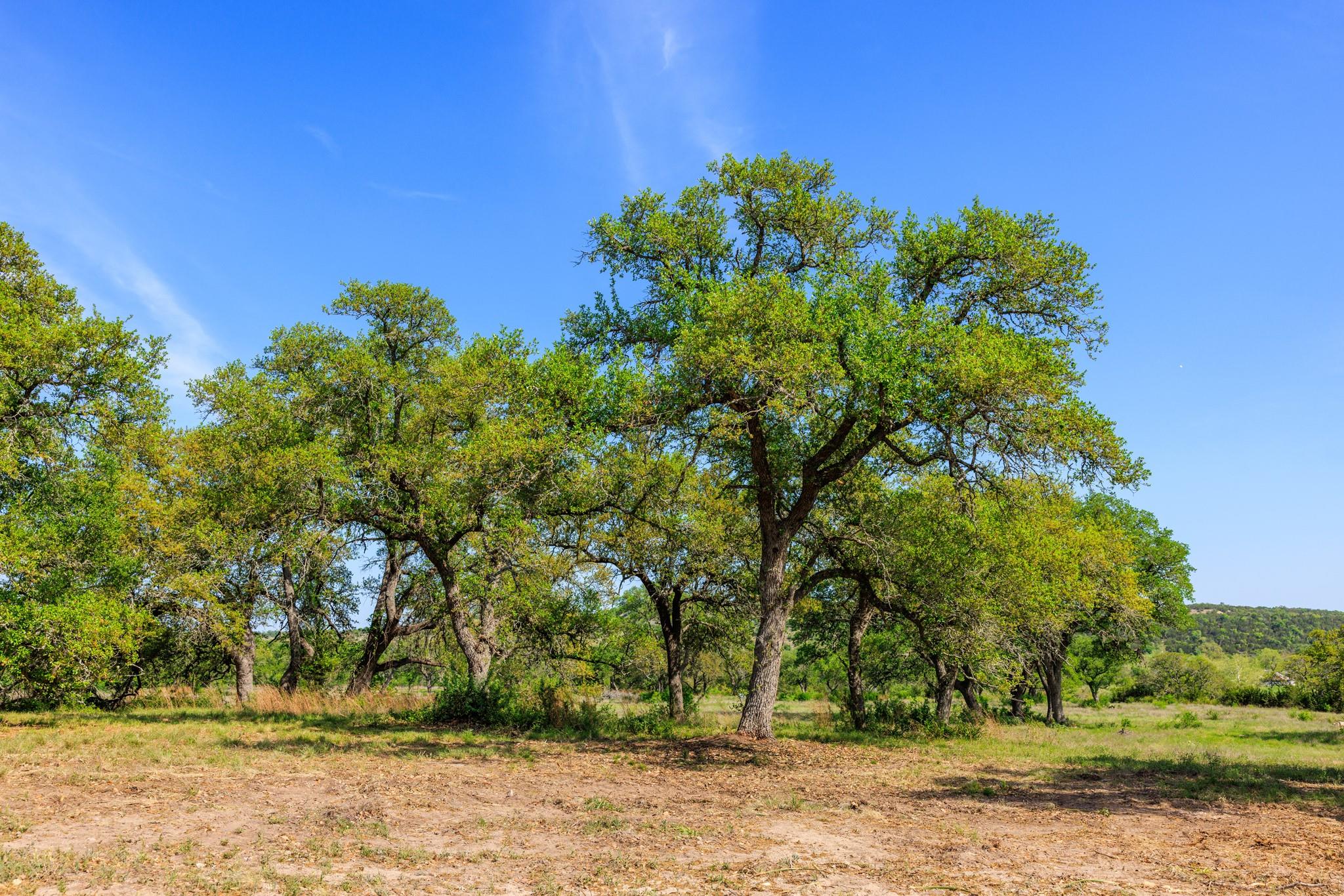 Image 28 of 40 For Lot 2 Byrd Ranch Rd