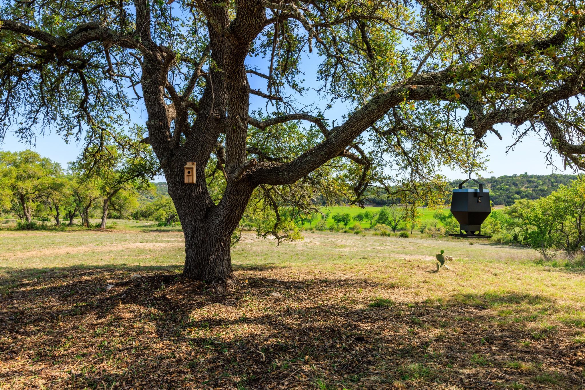 Image 33 of 40 For Lot 2 Byrd Ranch Rd