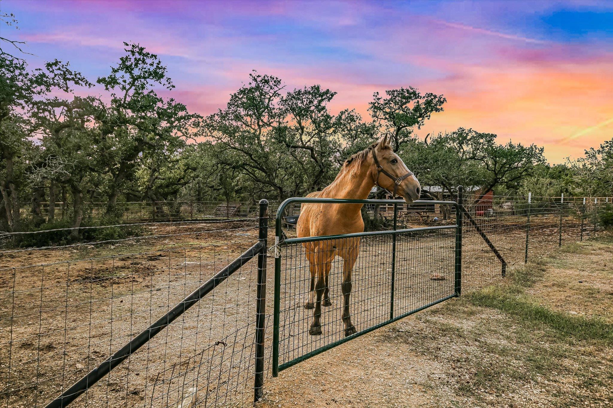 Image 28 of 34 For 8305 Ozark Dr