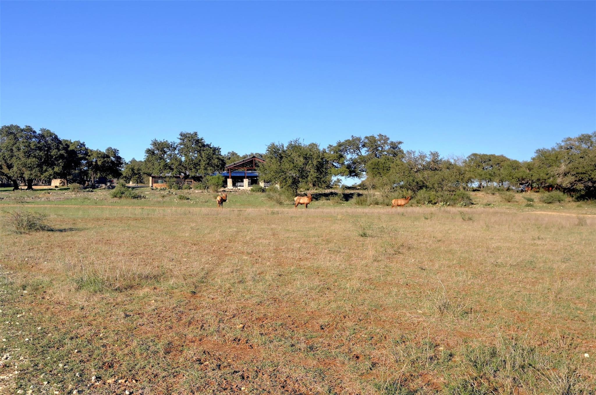 Image 21 of 30 For Lot-108 And 109 Oryx Cv