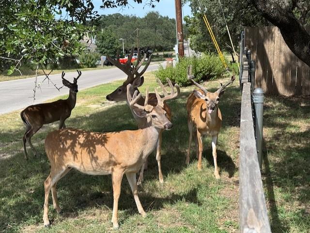 Image 39 of 39 For 1106 Amanda  