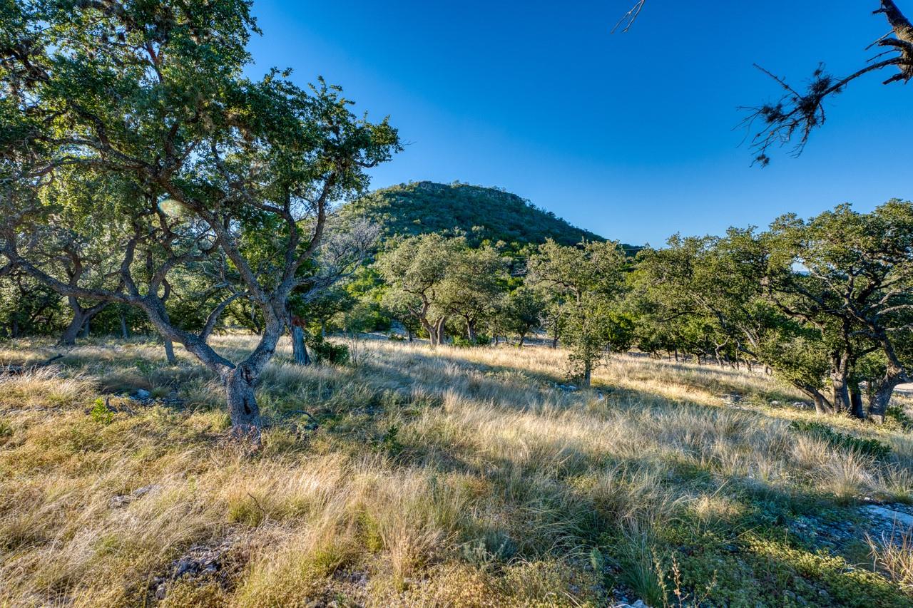 Image 19 of 37 For 32901 Texas Hwy 55