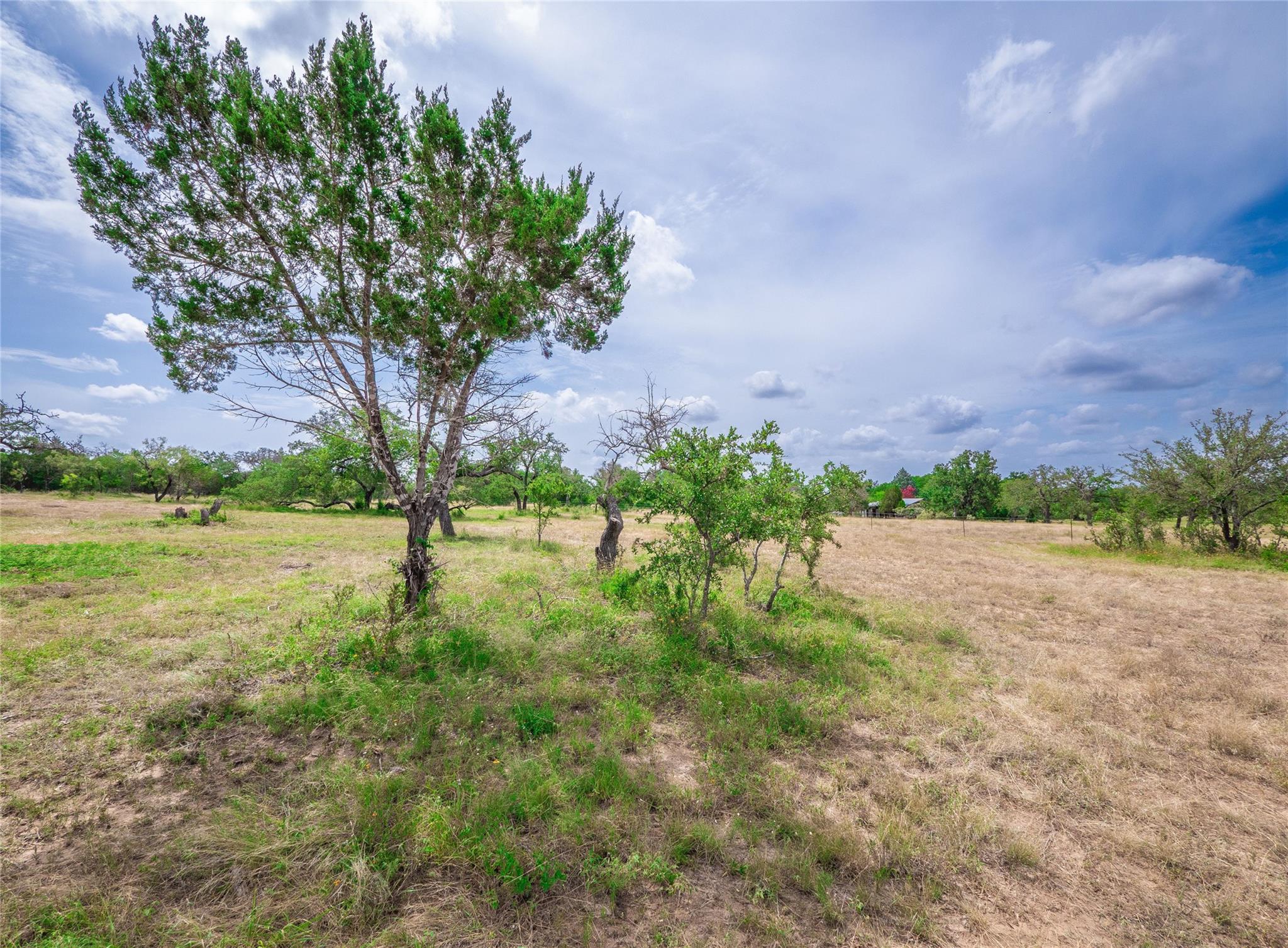 Image 10 of 30 For Tbd Winnie Smith Rd