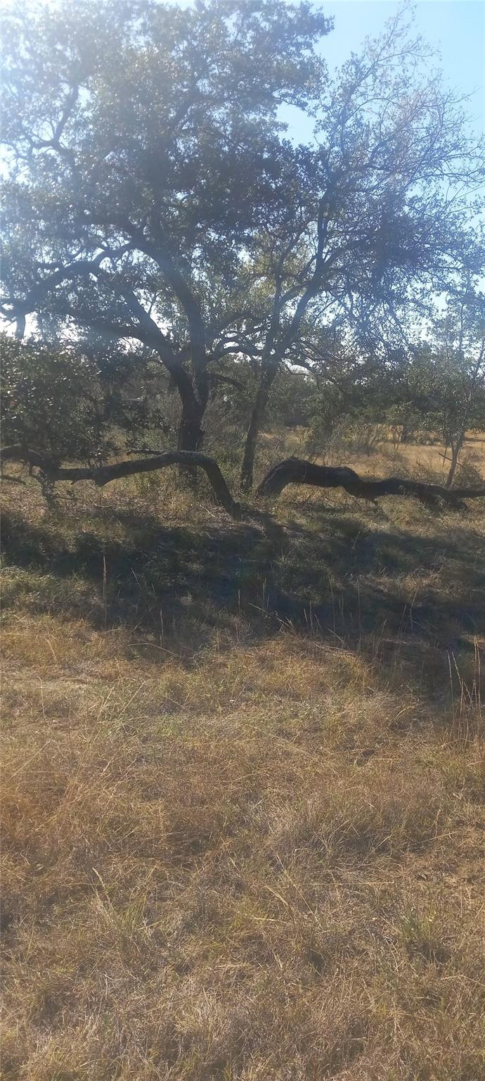 Image 22 of 30 For Tbd Winnie Smith Rd