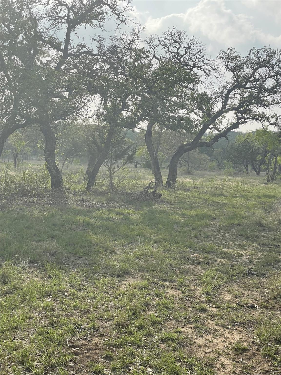 Image 23 of 30 For Tbd Winnie Smith Rd