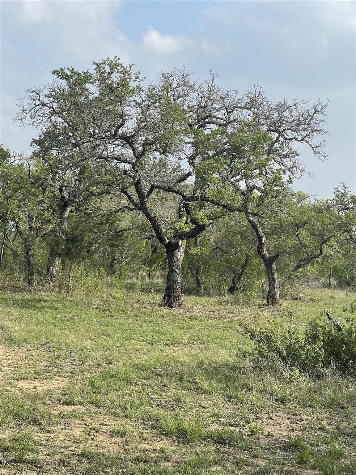 Image 25 of 30 For Tbd Winnie Smith Rd