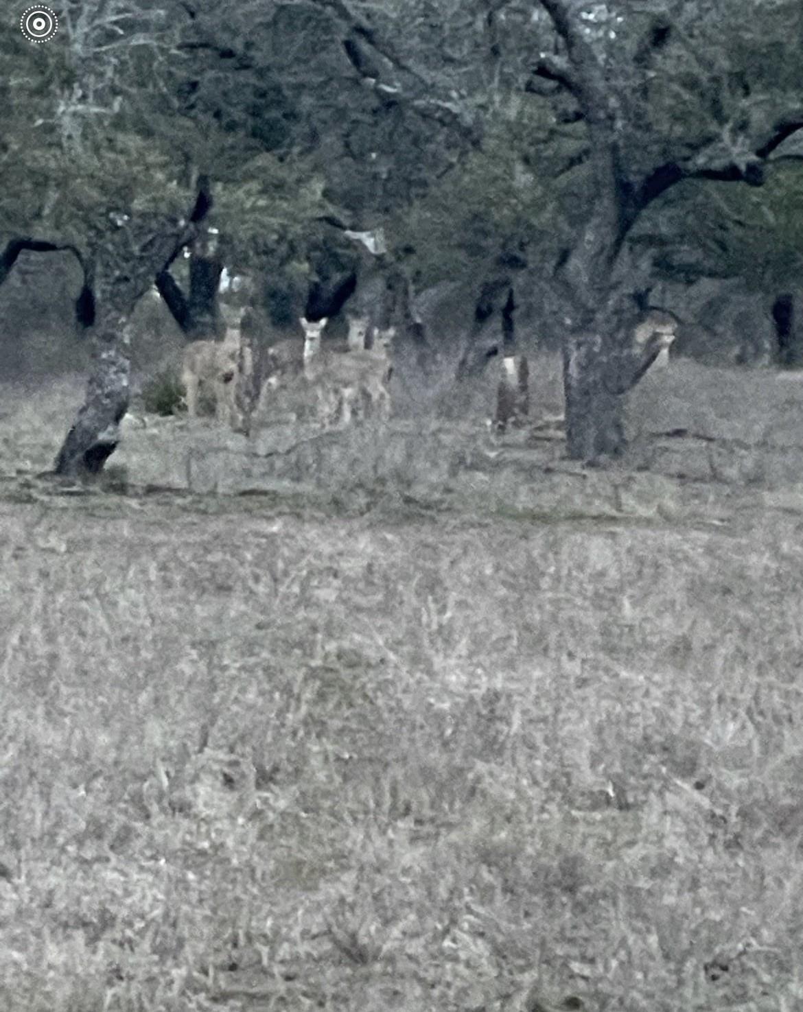 Image 27 of 30 For Tbd Winnie Smith Rd