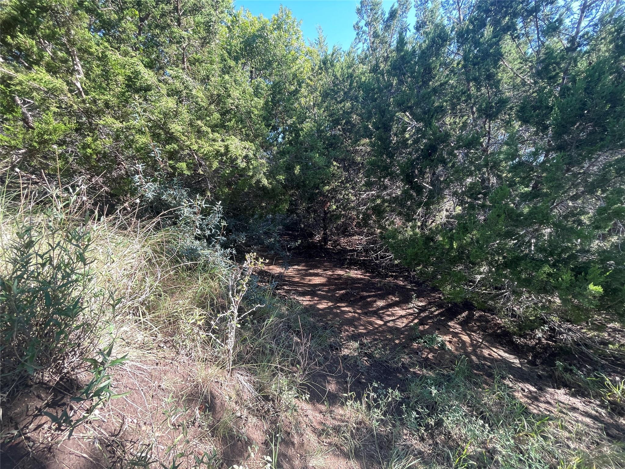 Image 13 of 22 For 428 Summit Spring Ln