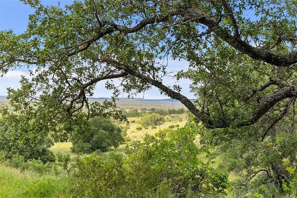 Image 4 of 22 For 428 Summit Spring Ln