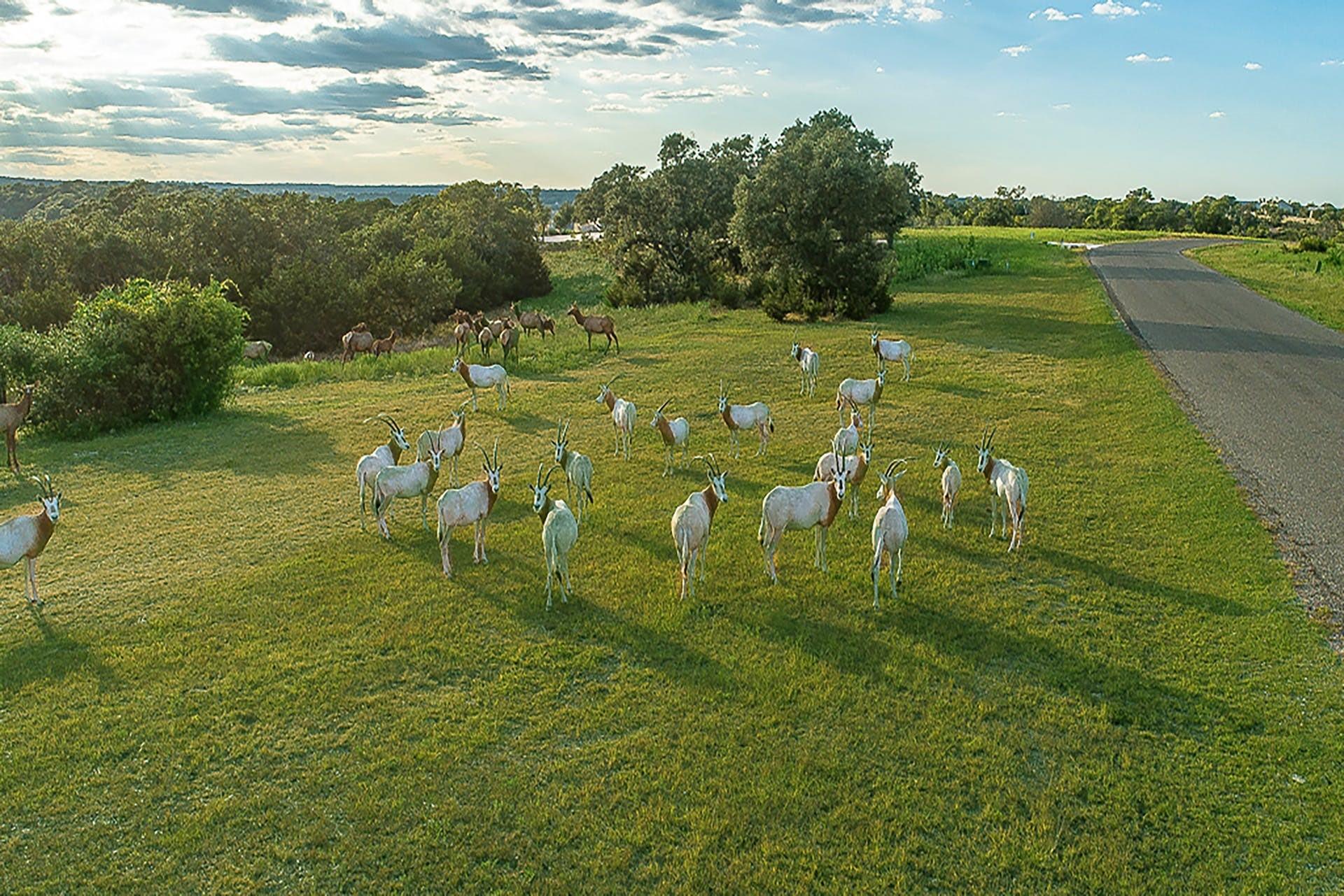 Image 4 of 40 For 101 Bluff Ridge Trl