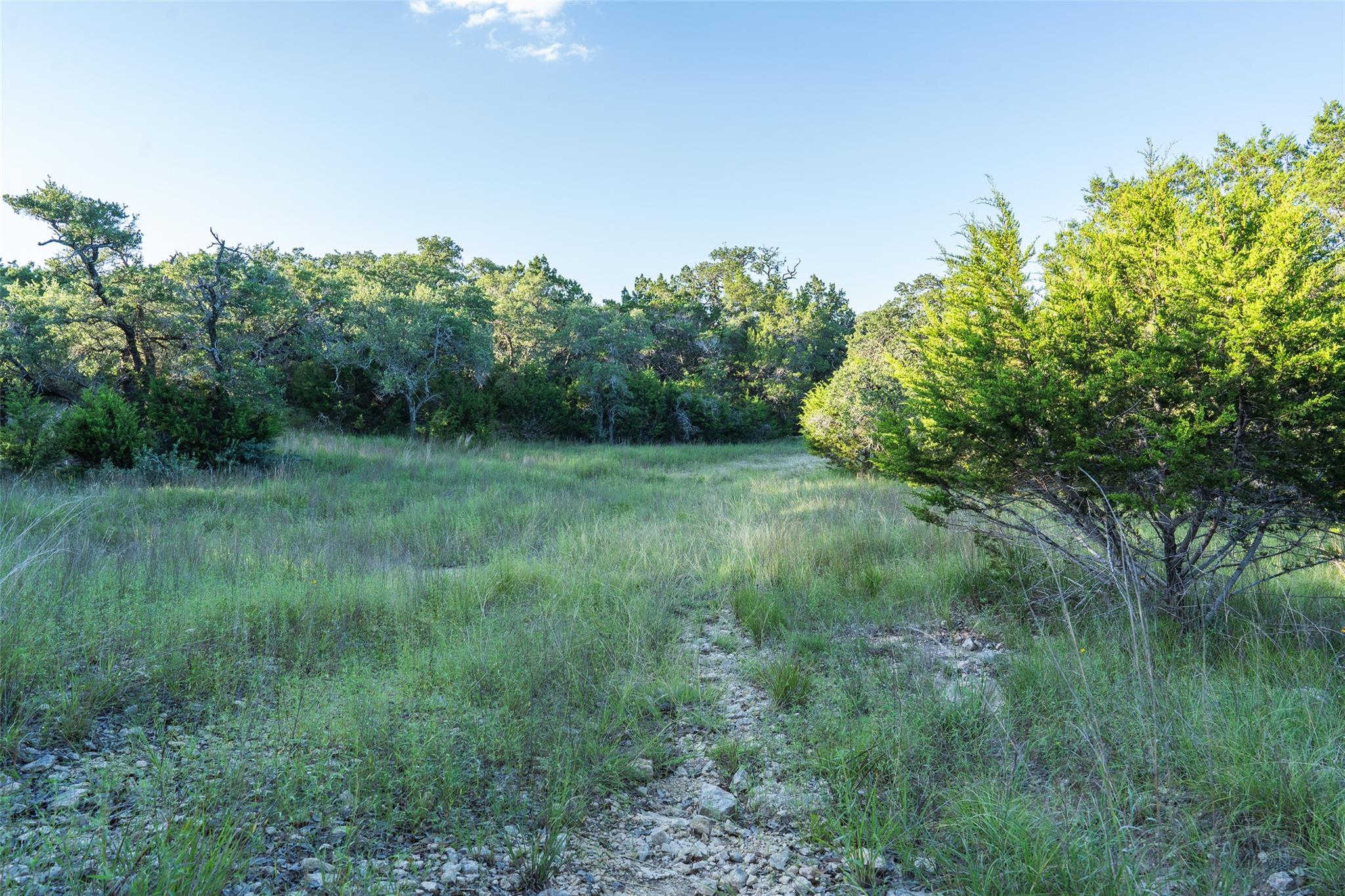 Details for Tbd Crabapple Rd, Blanco, TX 78606