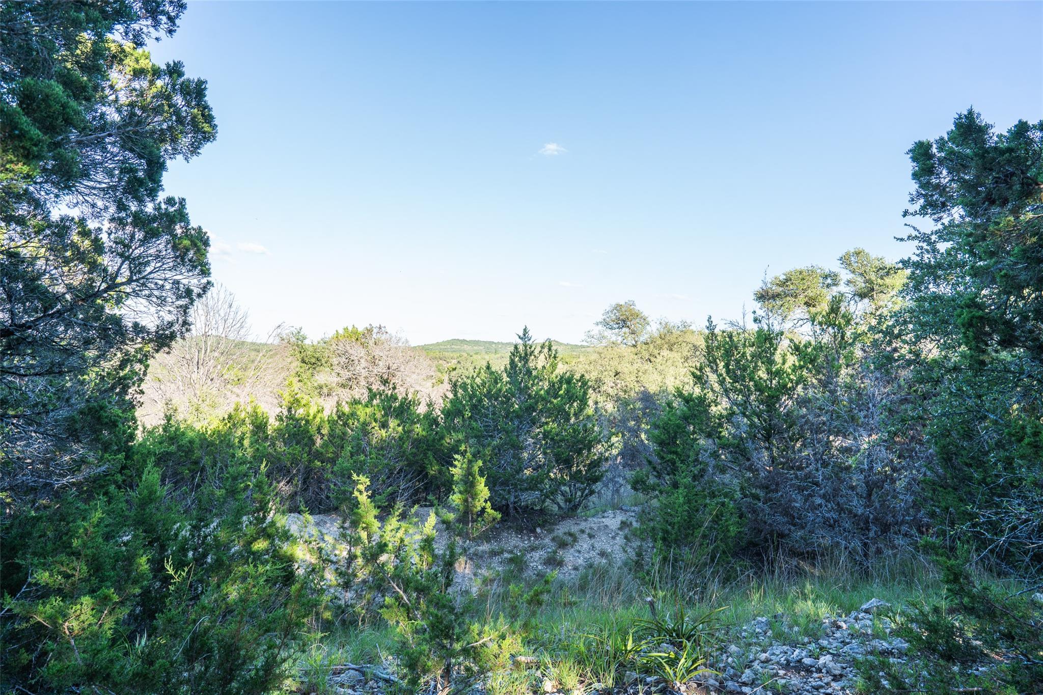 Image 11 of 30 For Tbd Crabapple Rd