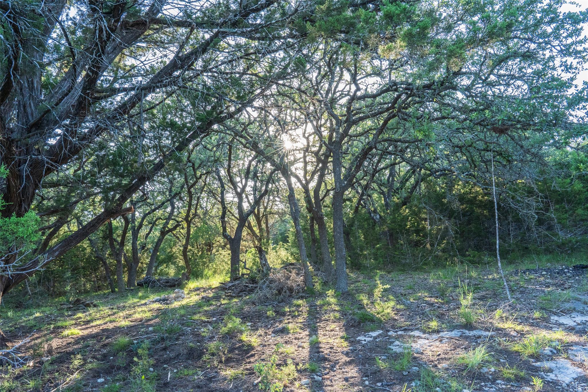 Image 12 of 30 For Tbd Crabapple Rd