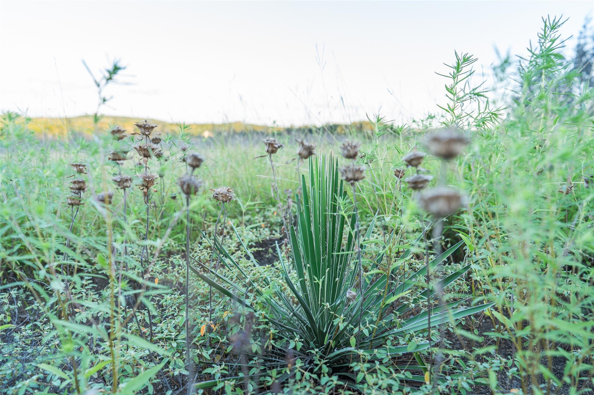 Image 17 of 30 For Tbd Crabapple Rd