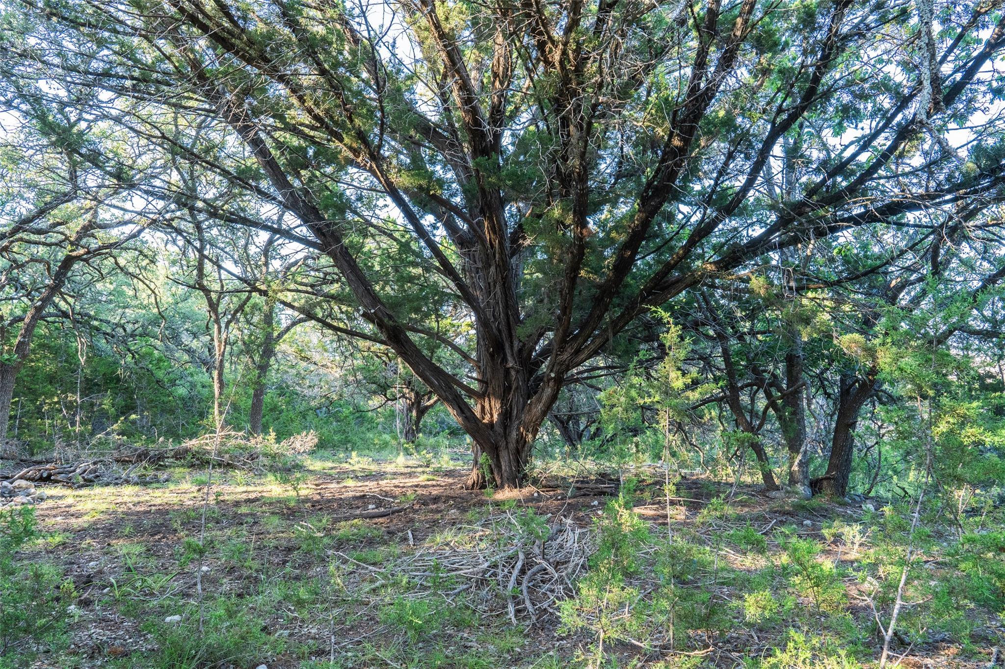 Image 18 of 30 For Tbd Crabapple Rd