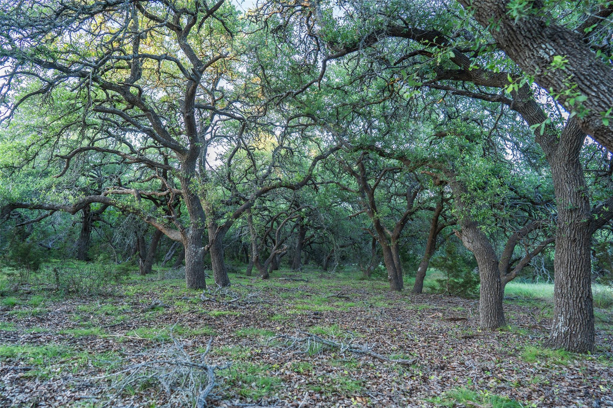 Image 23 of 30 For Tbd Crabapple Rd