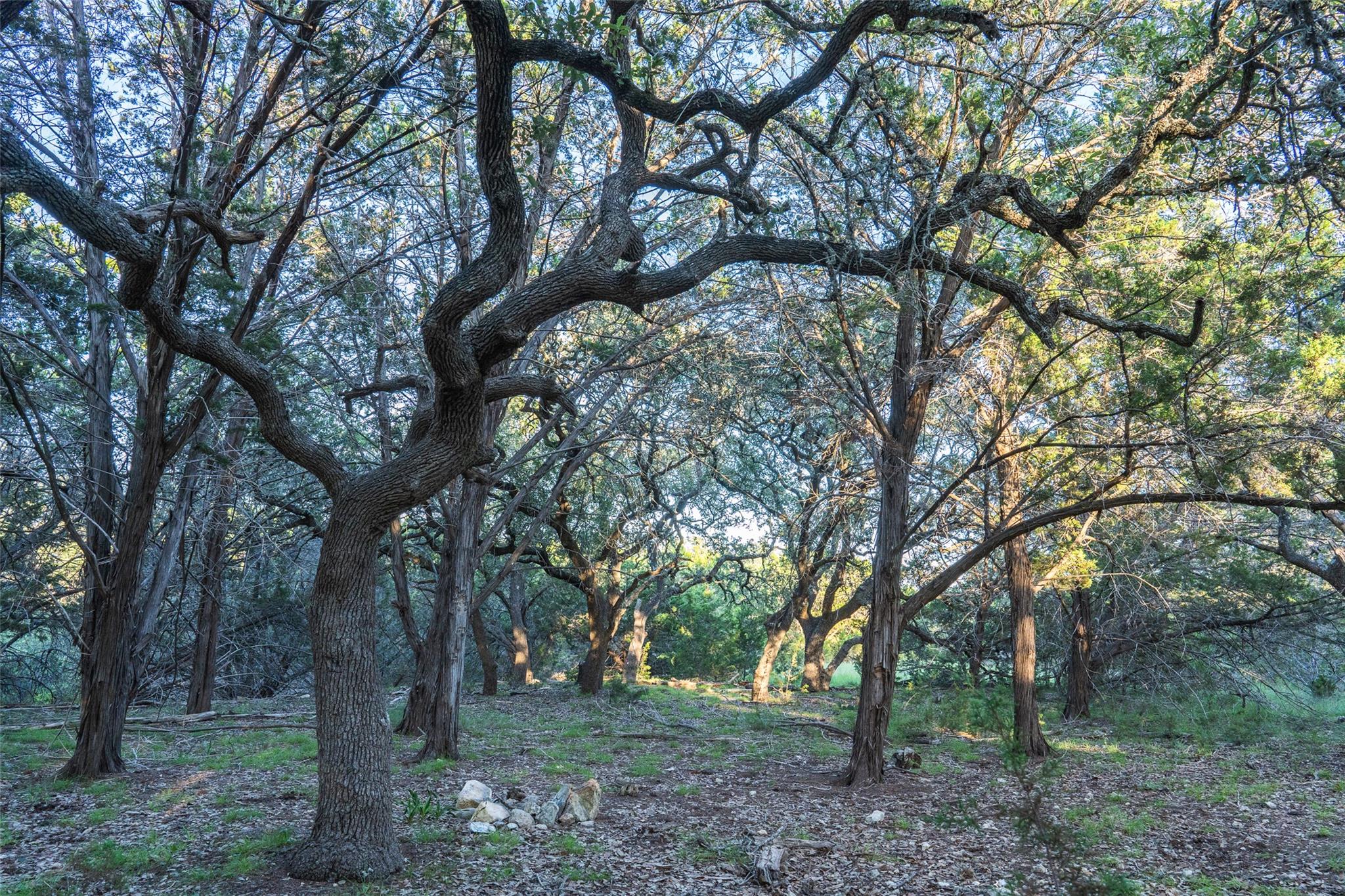 Image 3 of 30 For Tbd Crabapple Rd