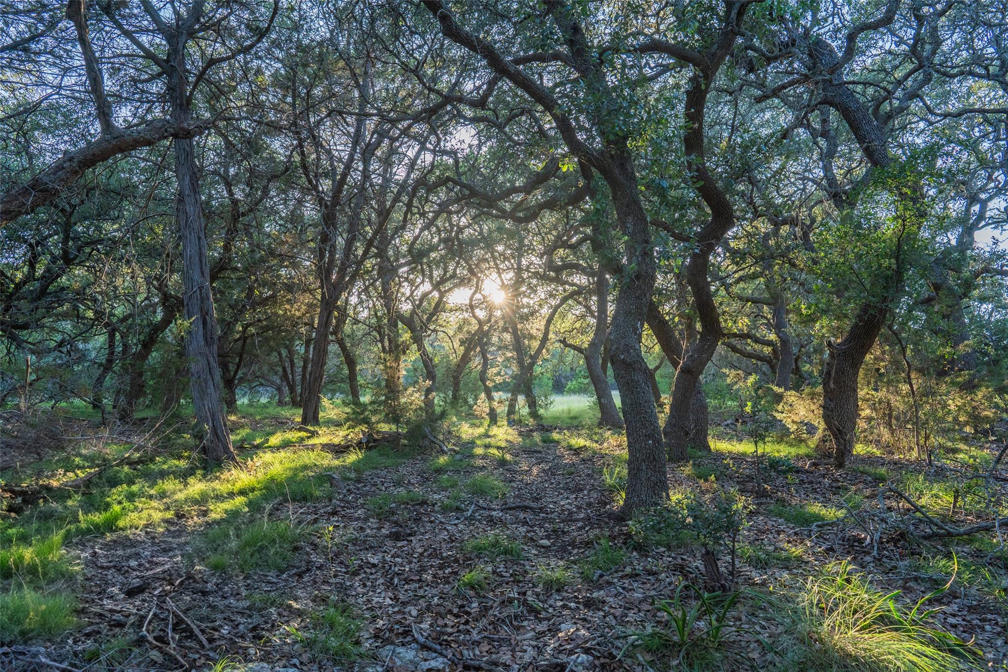 Image 4 of 30 For Tbd Crabapple Rd